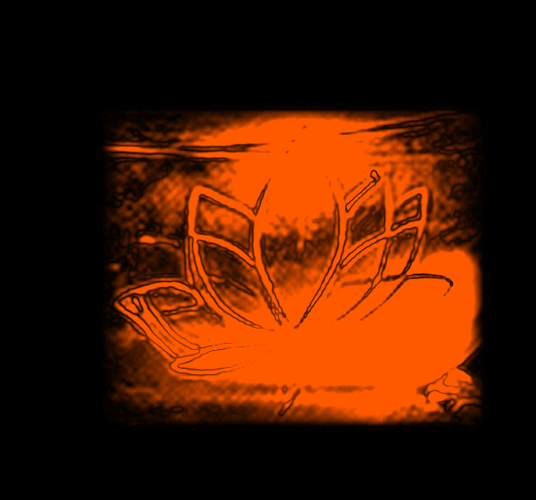 lotus-zoom.png → lotus-zoom2.png difference